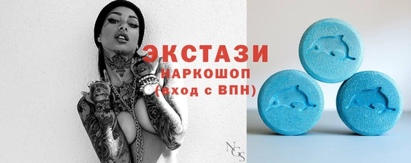 шишки Богородицк