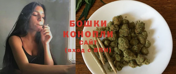 шишки Богородицк