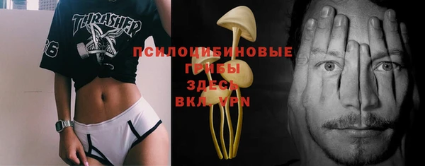 шишки Богородицк