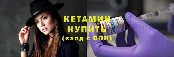 шишки Богородицк