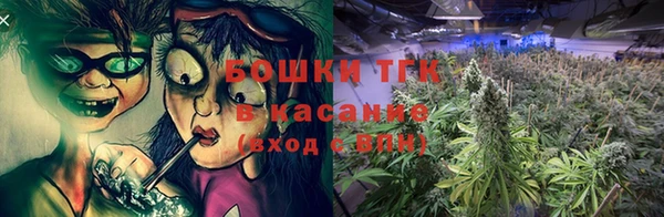 сатива Бородино