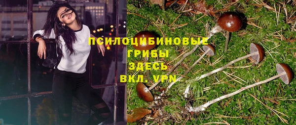 шишки Богородицк