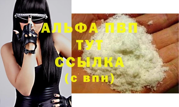 шишки Богородицк