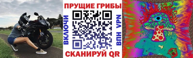 Псилоцибиновые грибы Psilocybe  Кондрово 